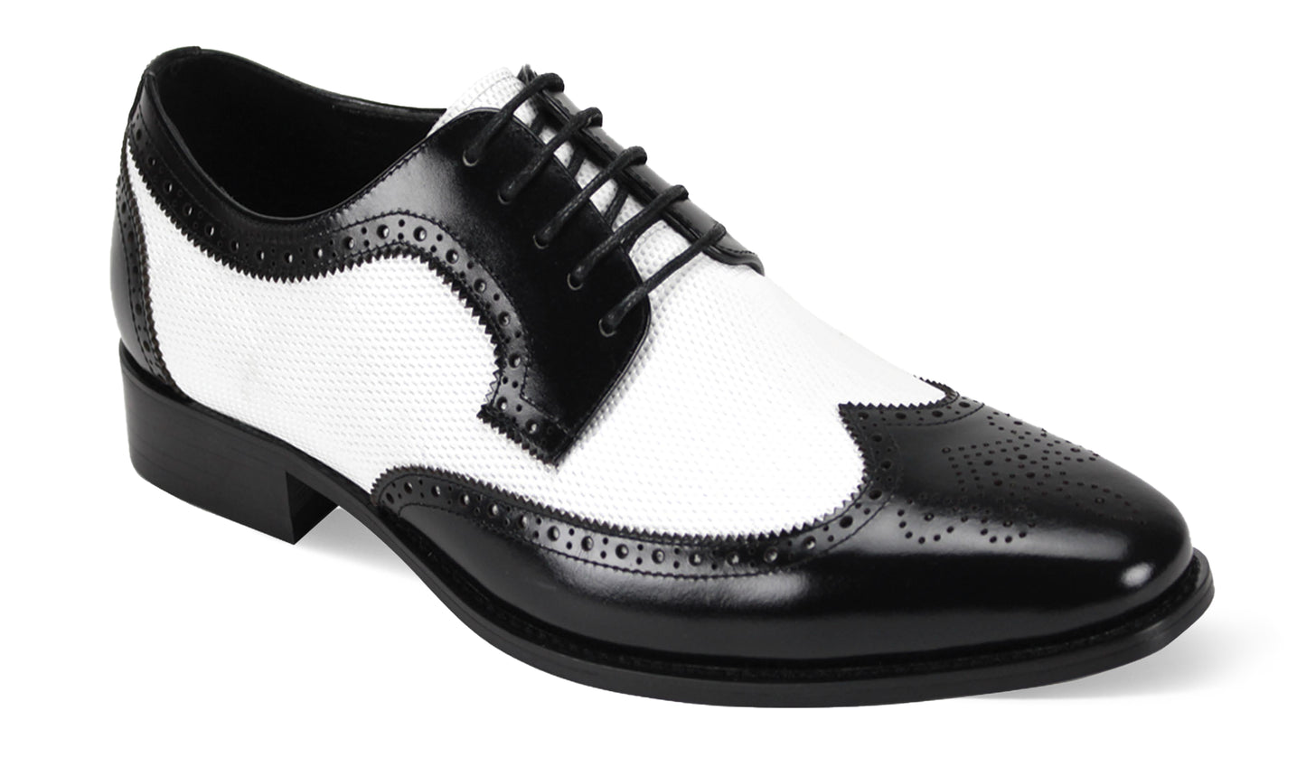 Giorgio Venturi Designer Shoes 6881
